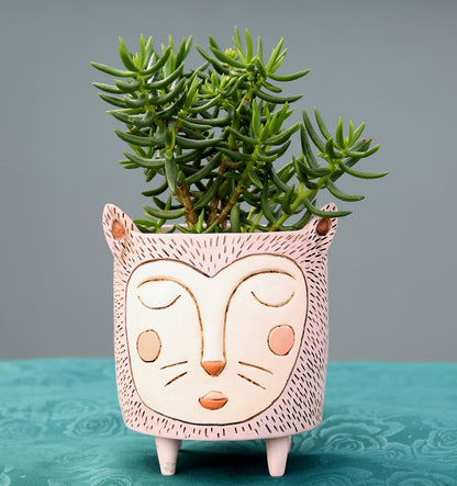 Purrs Cat Planter