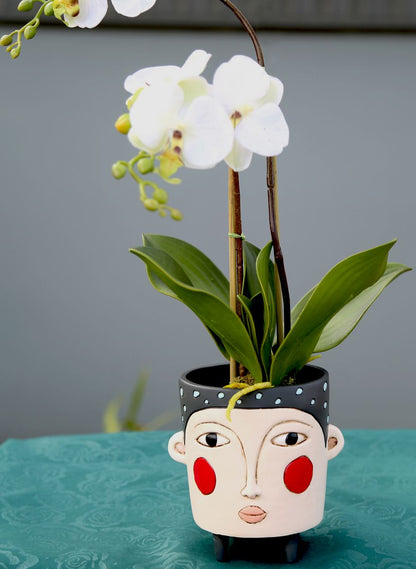 Polly Black Planter