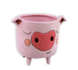 Piggy Planter