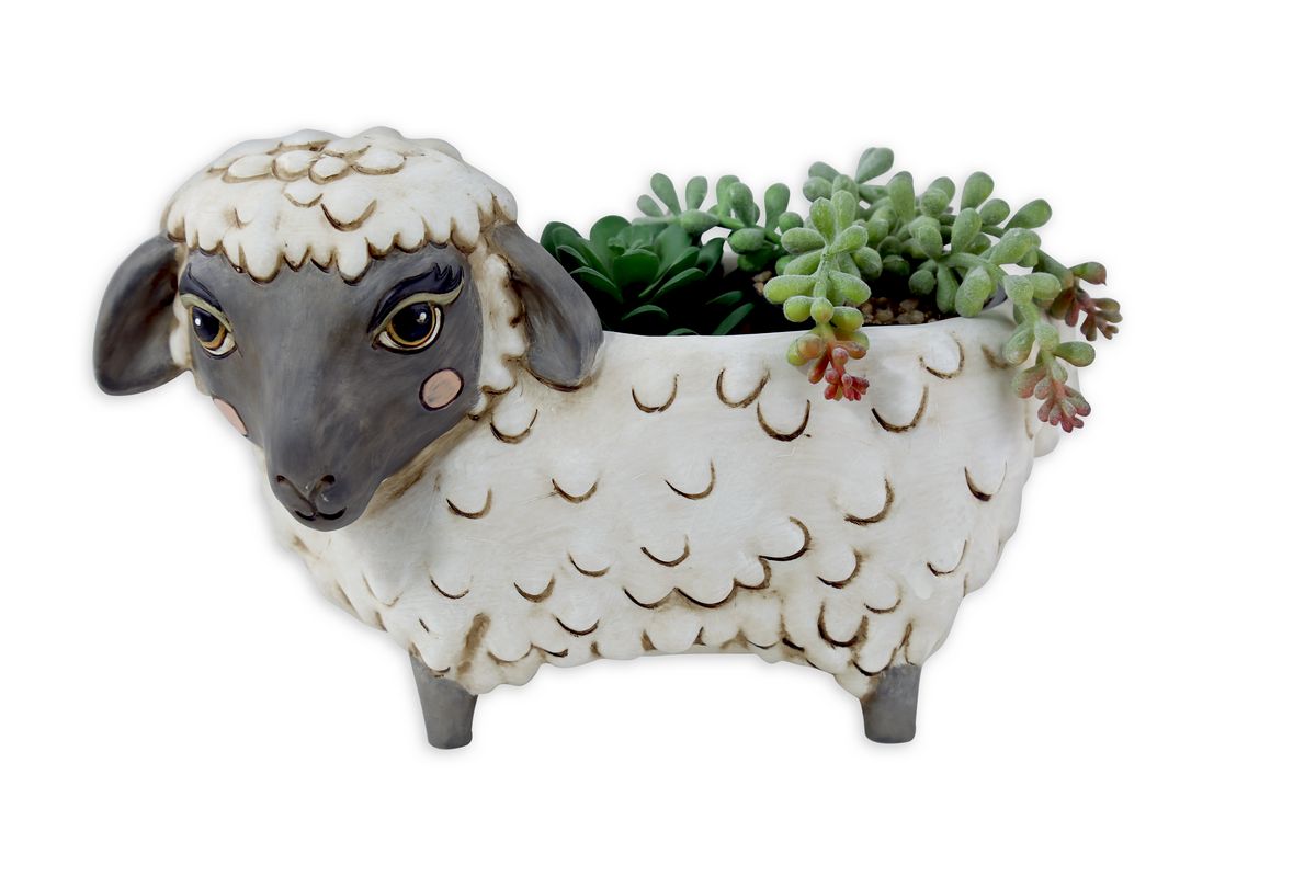 Black Sheep Planter