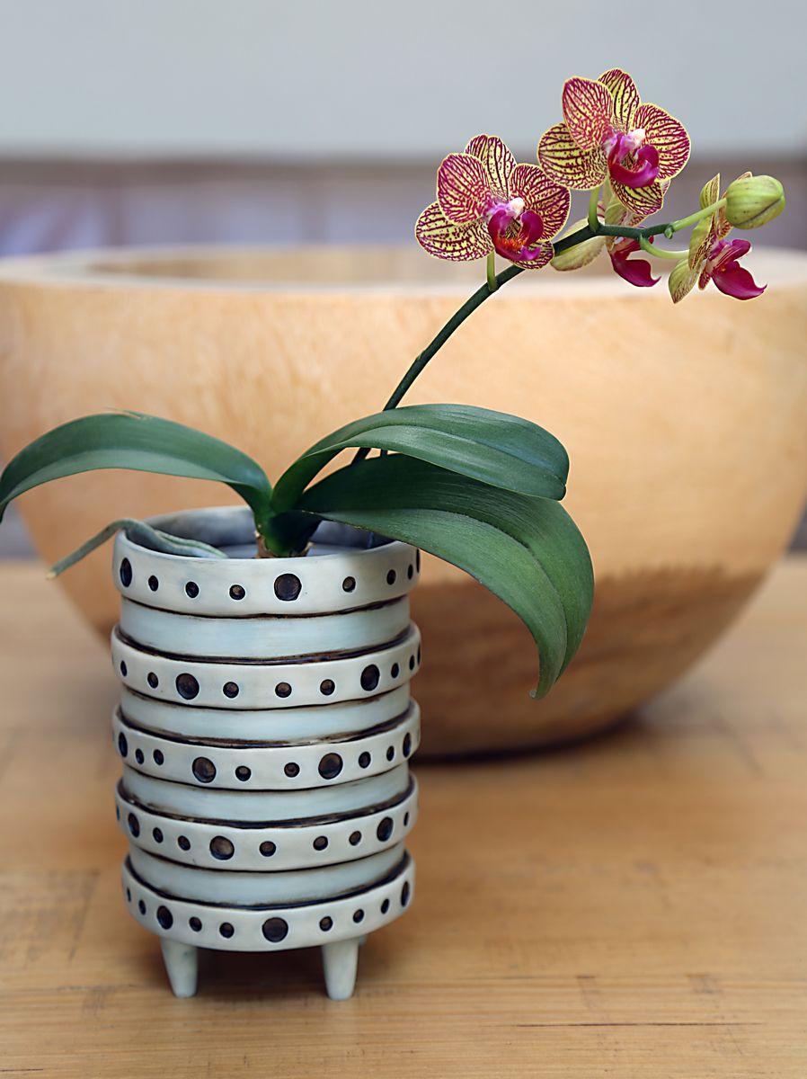 Blue Vera Dot Planter