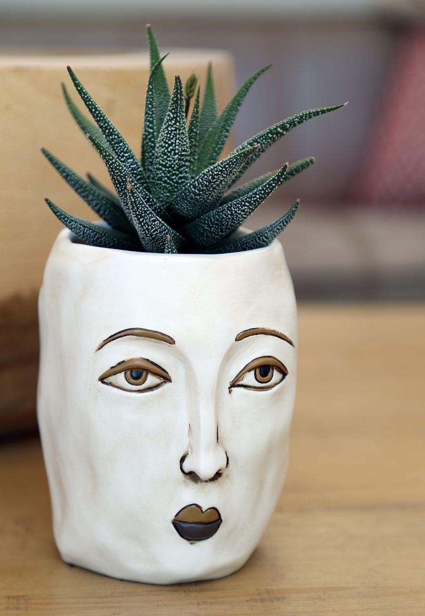 Modern Face Planter