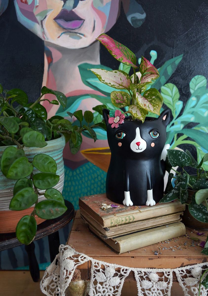 Black Cat Planter