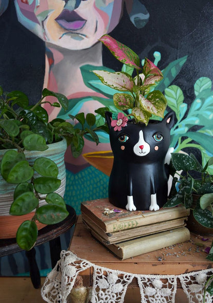 Black Cat Planter