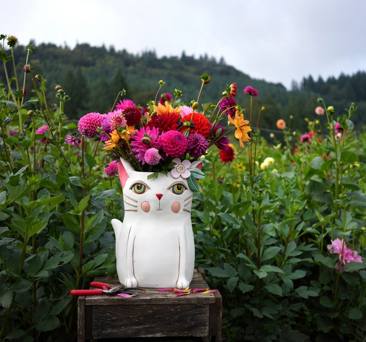 Pretty Kitty Super Planter