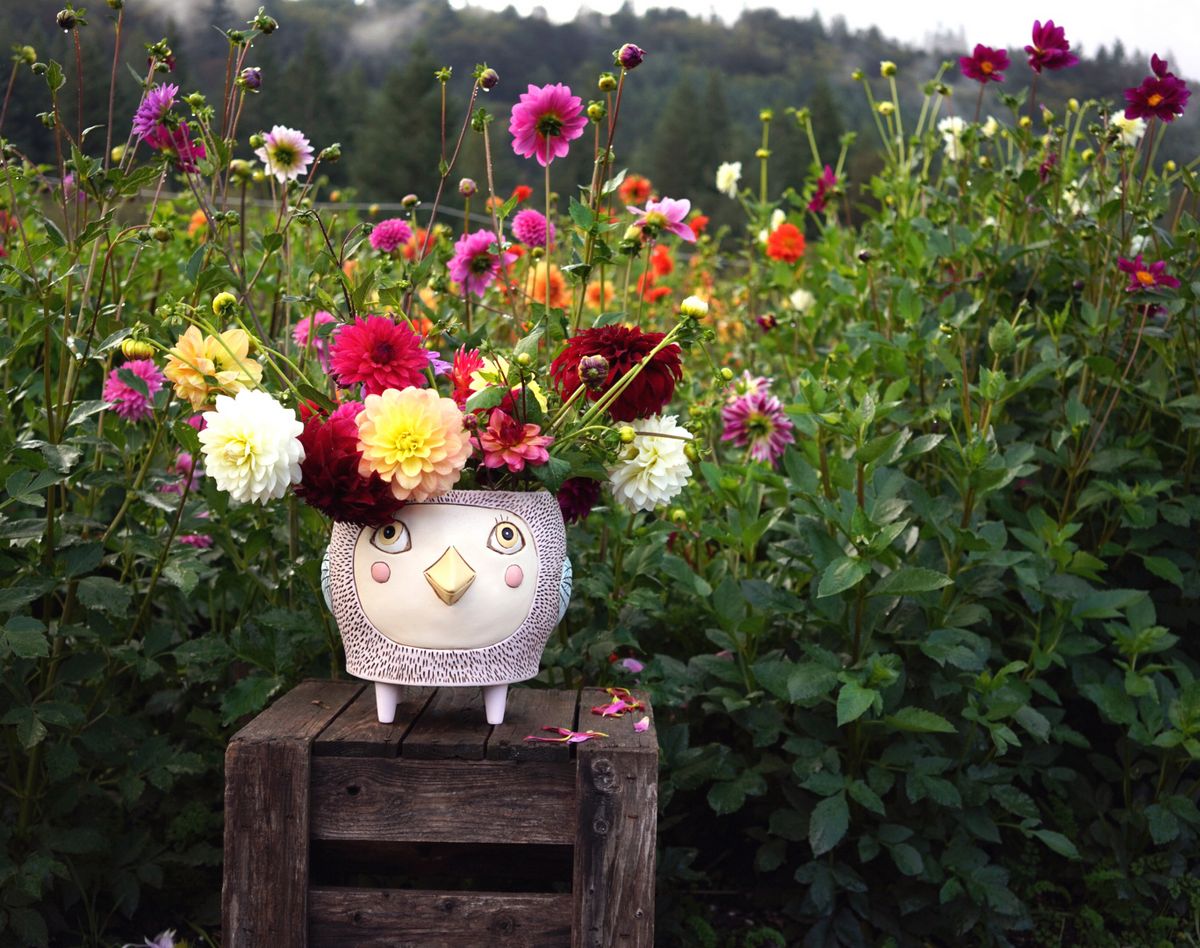 Birdie Super Planter