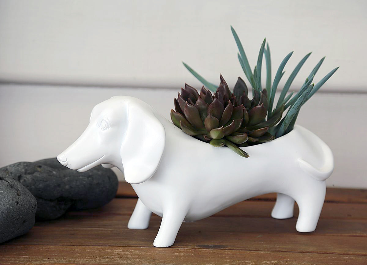 White Oscar Planter