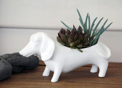 White Oscar Planter