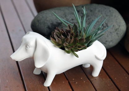 White Oscar Planter