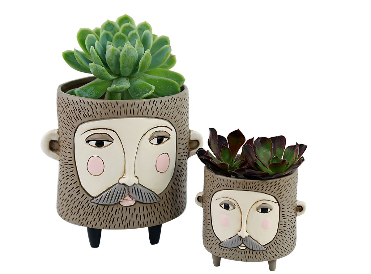 Hairy Jack Planter
