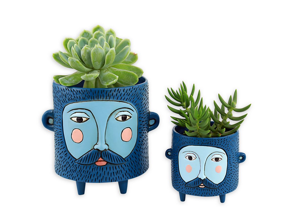 Baby Hairy Jack Blue Planter