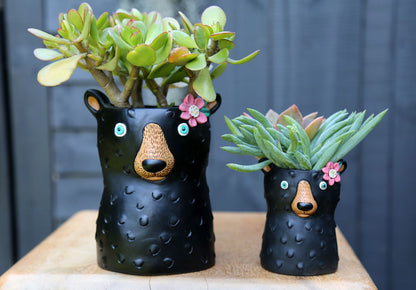 Black Bear Planter