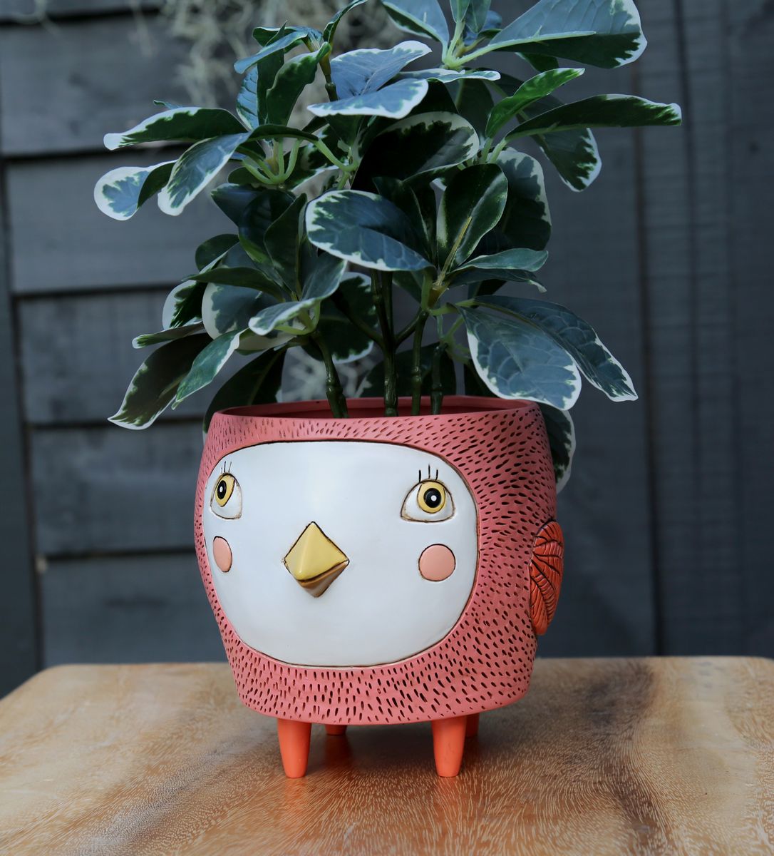 Birdie Coral-Purple-Black Planter Mix