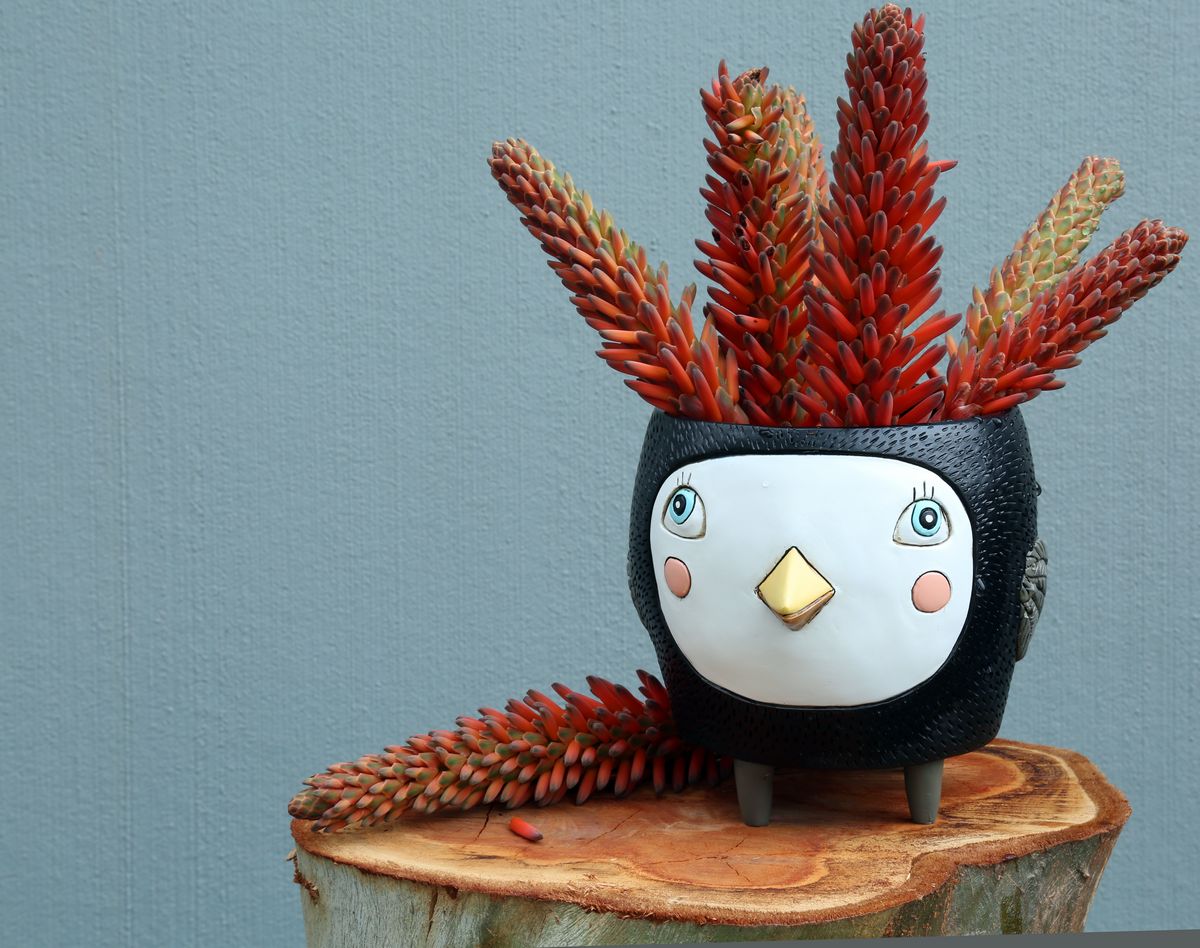 Birdie Coral-Purple-Black Planter Mix