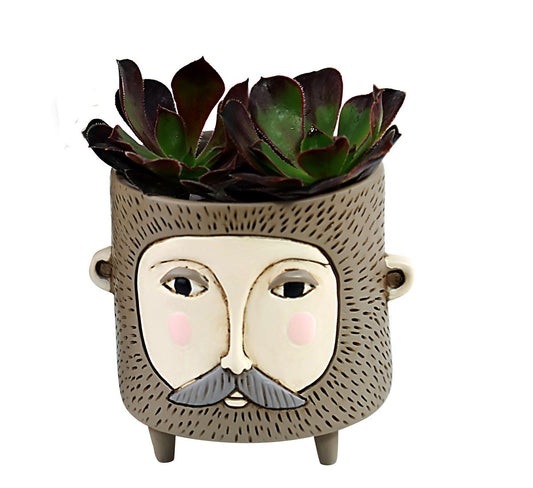 Baby Hairy Jack Planter
