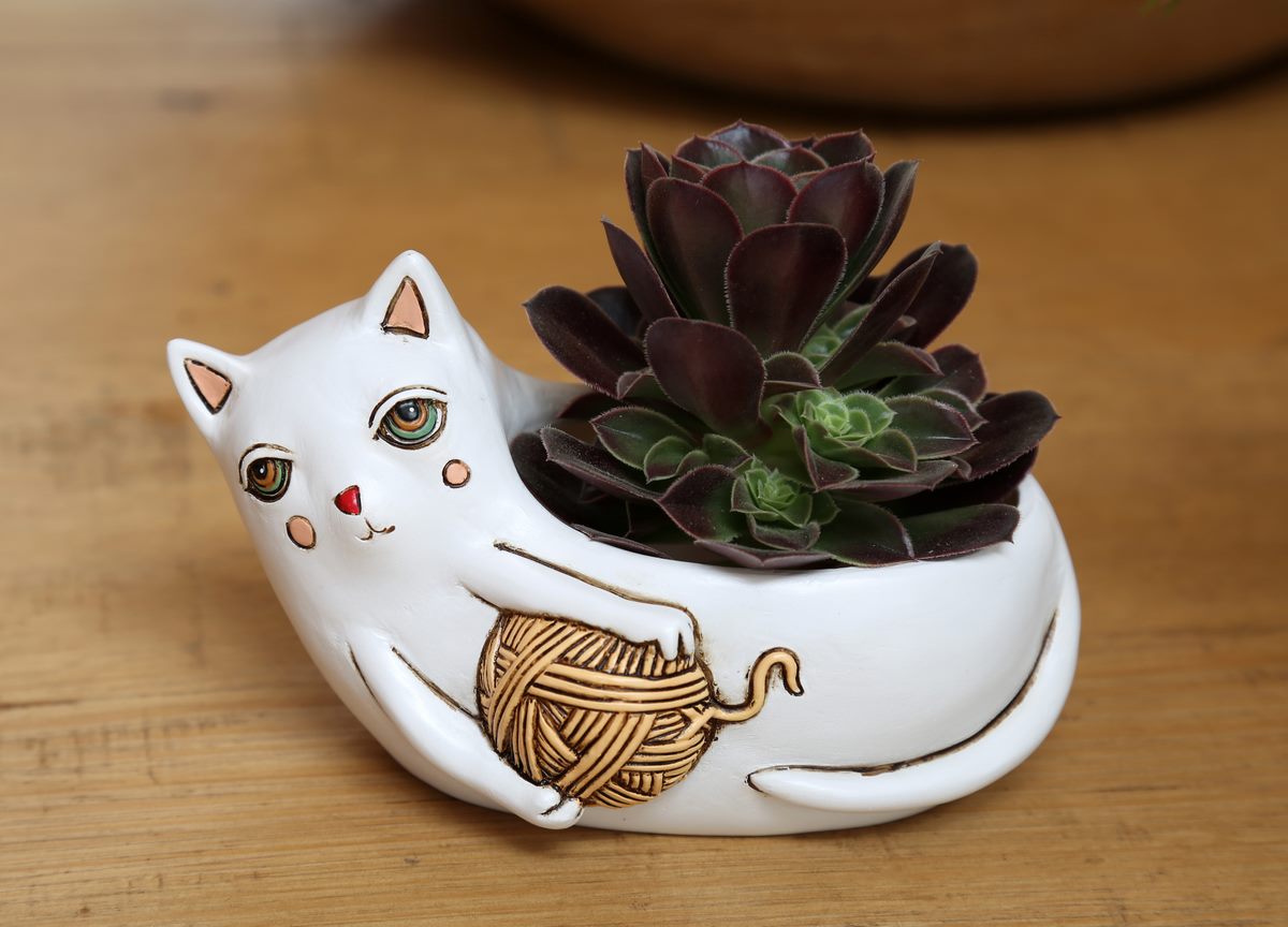 Baby White Cat With Yarn planter