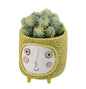 Baby Sun Planter
