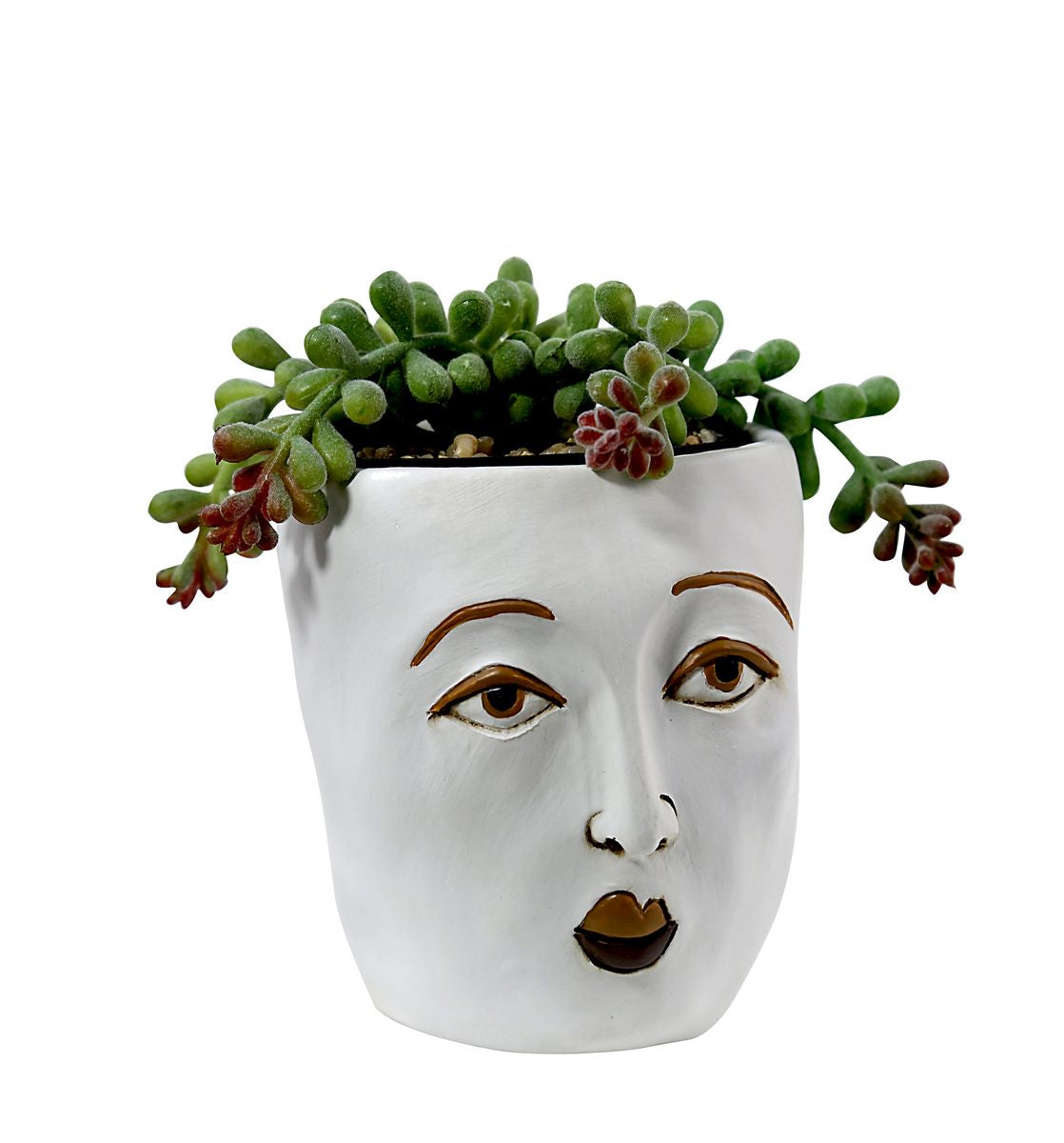 Baby Modern Face Planter