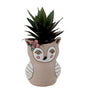Baby Sweet Owl Planter