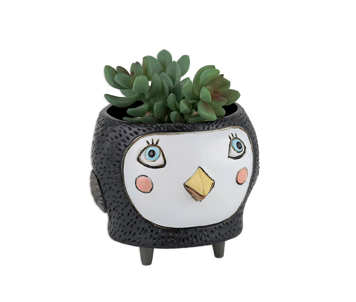 Baby Birdie Black Planter