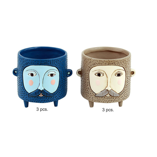 Baby Hairy Jack Brown & Blue Planter Mix