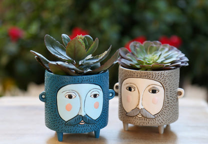 Baby Hairy Jack Brown & Blue Planter Mix