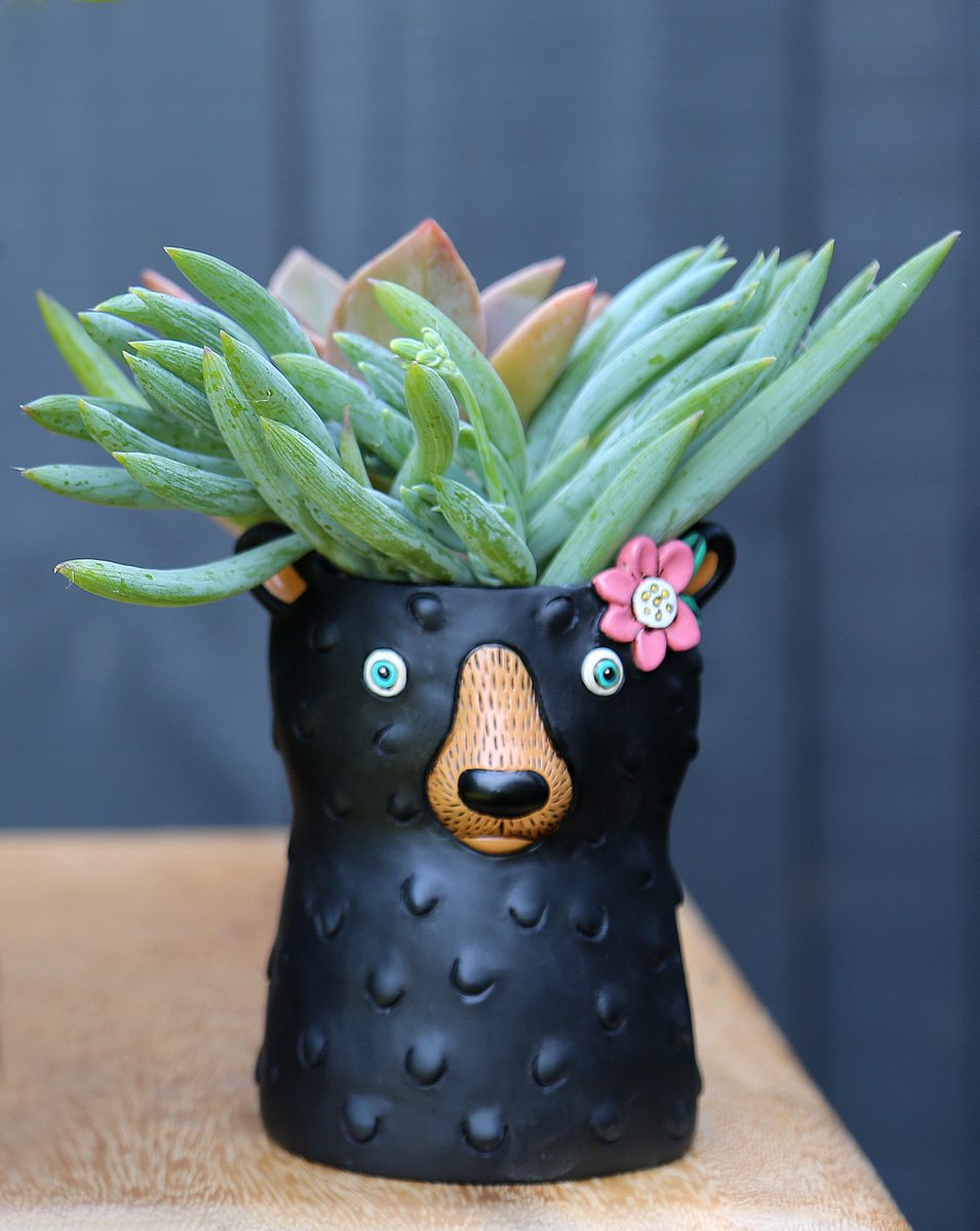 Baby Black Bear Planter