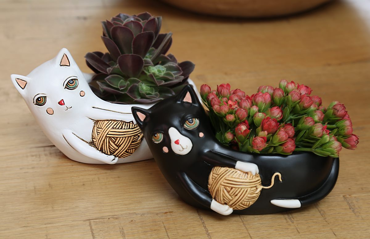 Baby Black & White Cat with Yarn Mix