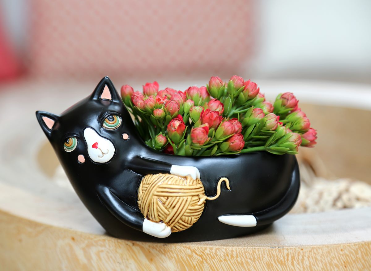 Baby Black Cat With Yarn Planter
