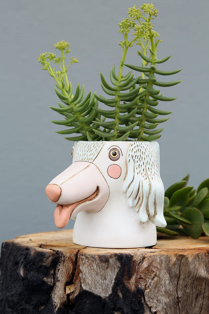 Baby Dogs Planter Mix