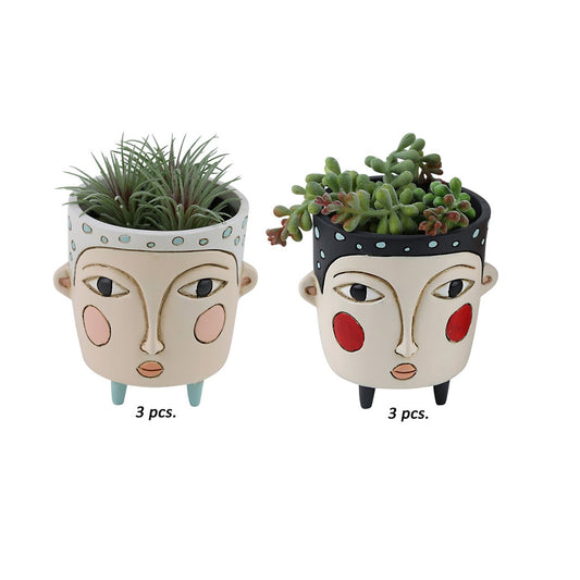 Baby Polly Blue & Black Planter Mix