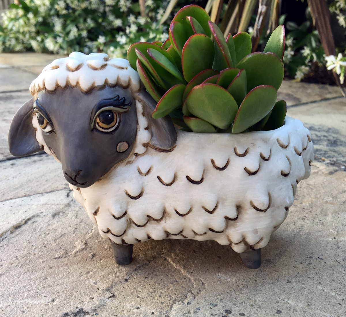 Baby Black Sheep Planter
