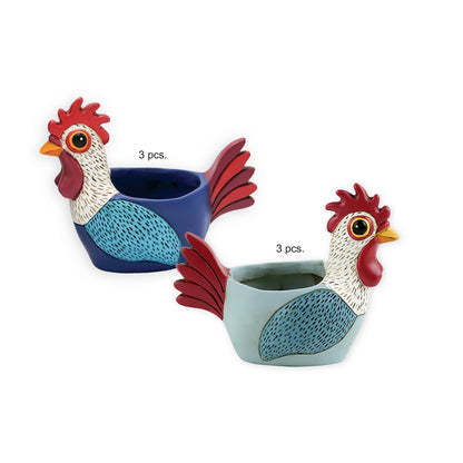 Baby Rooster Blue & L.Blue Mix