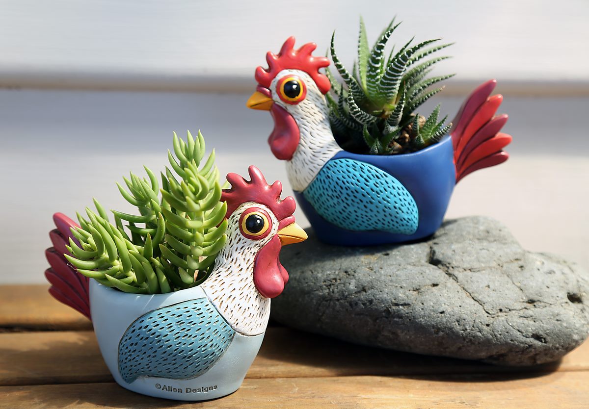 Baby Rooster Blue & L.Blue Mix