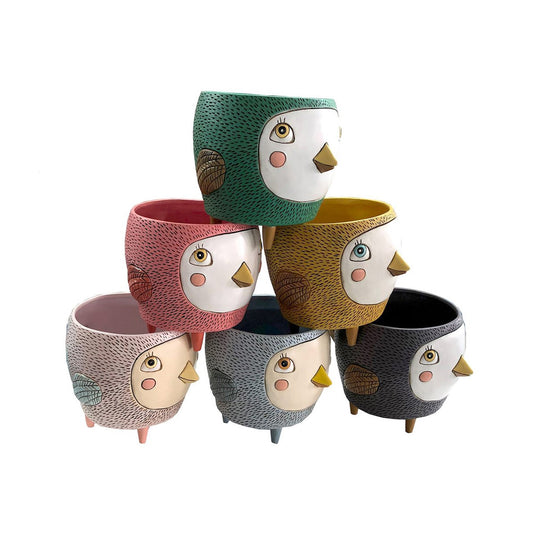 Baby Birdie - Mix Planters