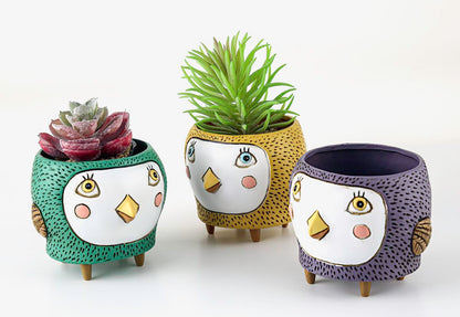 Baby Birdie - Mix Planters