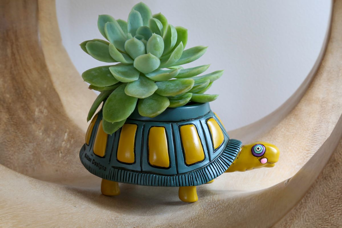 Flipper Turtle Planter