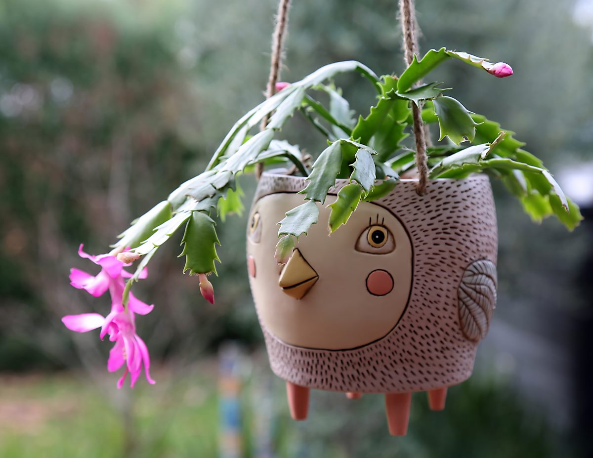 Birdie Hanging Planter