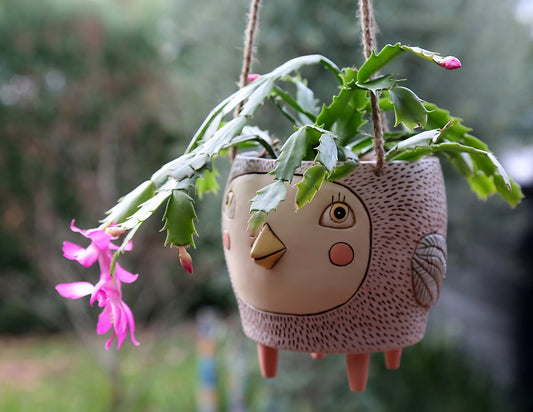 Birdie Hanging Planter