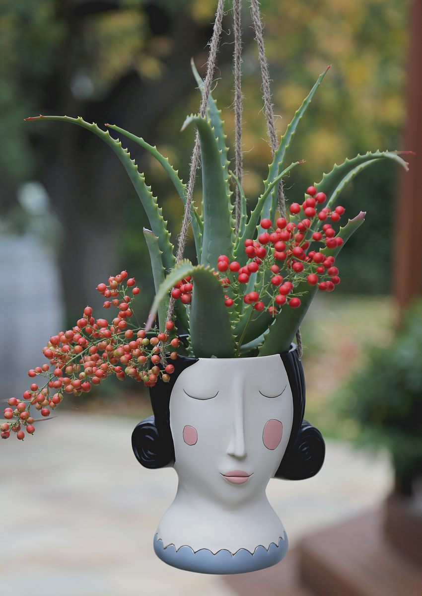 Rose Hanging Planter
