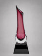 Zenith Award