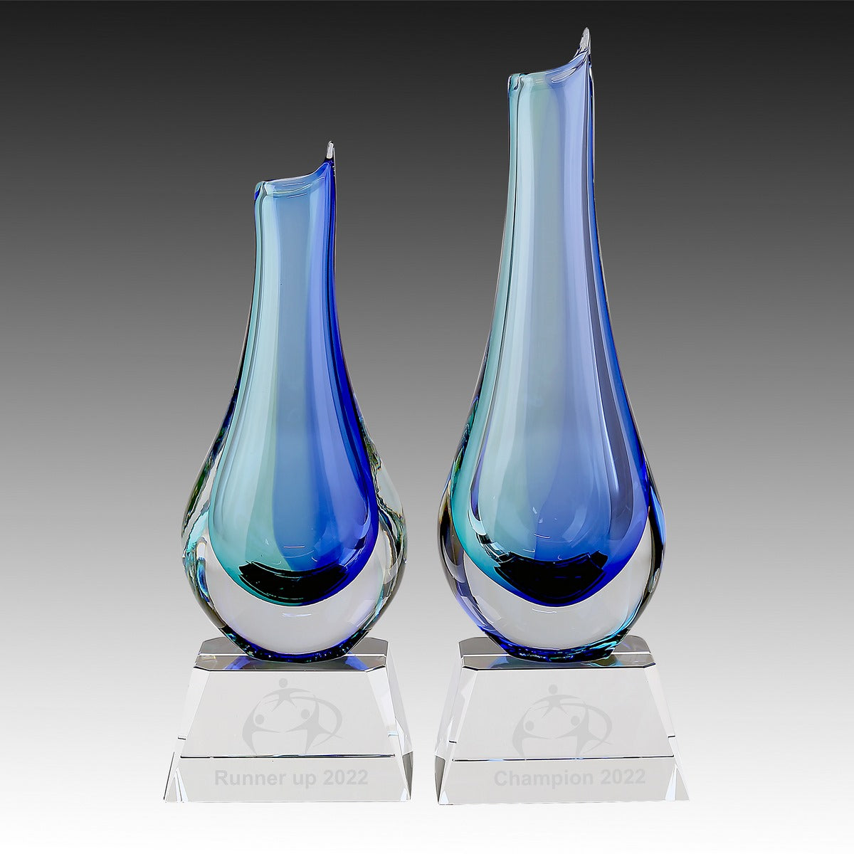Crystal Vase on Clear Base