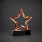 Star outline Award