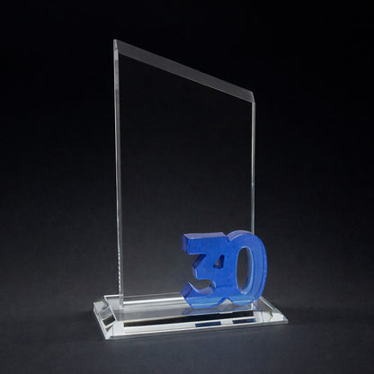 Years of Service Award - 30