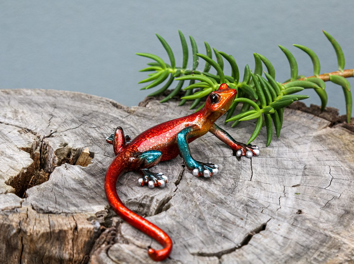 Multicolour Gecko