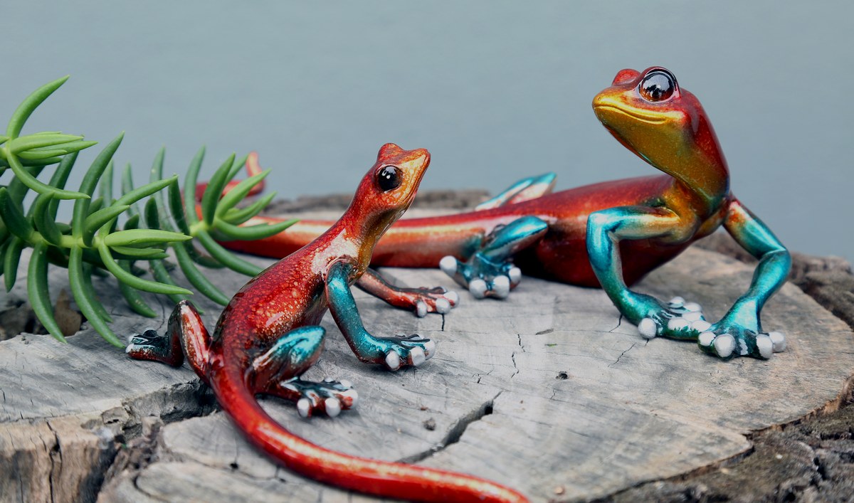 Multicolour Gecko