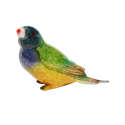 Finch Blue Head