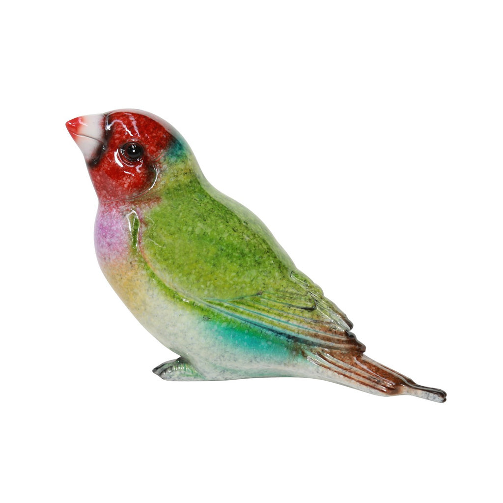 Finch Red Head