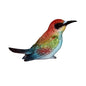 Bird Blue Belly