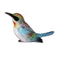 Bird White Belly Large